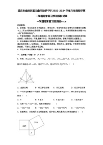 重庆市南岸区重庆南开融侨中学2023-2024学年八年级数学第一学期期末复习检测模拟试题【含解析】