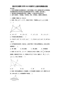 重庆市万州第三中学2023年数学八上期末经典模拟试题【含解析】