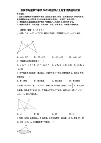 重庆市万州第三中学2023年数学八上期末经典模拟试题【含解析】
