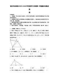 重庆市巫溪县2023-2024学年数学八年级第一学期期末经典试题【含解析】