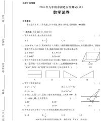 河南省信阳市息县2024届九年级下学期中考适应性测试（四）数学试卷(含答案)