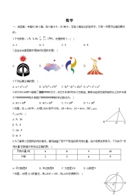 湖南省长沙市望城区部分学校2024届九年级下学期中考一模数学试卷(含解析)