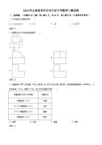 山东省枣庄市市中区2024届九年级下学期中考二模数学试卷(含解析)