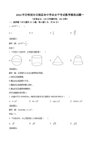 西藏日喀则市白朗县2024届九年级下学期中考一模数学试卷(含解析)