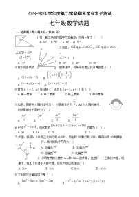 山东省菏泽市巨野县2023-2024学年七年级下学期期末考试数学试题