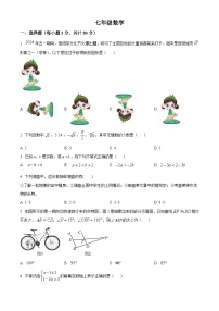 河南省信阳市浉河区2023-2024学年七年级下学期期末数学试题（原卷版+解析版）