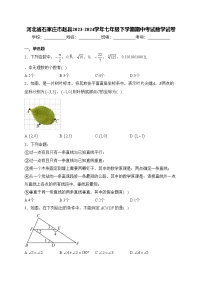 河北省石家庄市赵县2023-2024学年七年级下学期期中考试数学试卷(含答案)