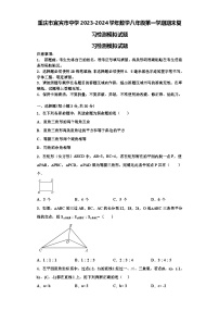 重庆市宜宾市中学2023-2024学年数学八年级第一学期期末复习检测模拟试题【含解析】