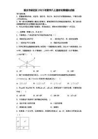 重庆市渝北区2023年数学八上期末经典模拟试题【含解析】