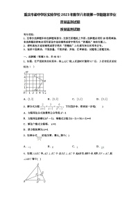 重庆市渝中学区实验学校2023年数学八年级第一学期期末学业质量监测试题【含解析】