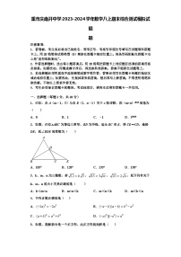 重市庆南开中学2023-2024学年数学八上期末综合测试模拟试题【含解析】