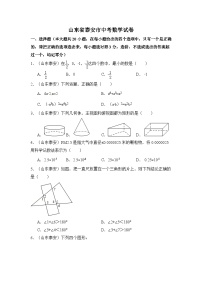 山东省泰安市中考数学试卷（含解析版）