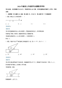 2024年甘肃省陇南市康县九年级下学期联考中考模拟数学试题（解析版）