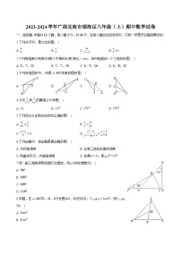 广西北海市银海区2023-2024学年八年级上学期期中质量检测数学试卷(含解析)