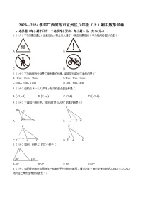 广西河池市宜州区2023-2024学年八年级上学期期中考试数学试卷(含解析)