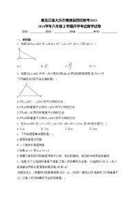 黑龙江省大庆市肇源县四校联考2023-2024学年八年级上学期开学考试数学试卷(含答案)