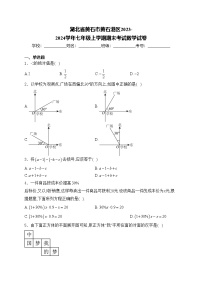 湖北省黄石市黄石港区2023-2024学年七年级上学期期末考试数学试卷(含答案)