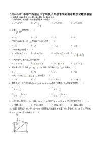 2020-2021学年广西崇左市宁明县八年级下学期期中数学试题及答案