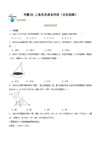 专题03 三角形及基本性质（分层训练）-2024年中考数学总复习重难考点强化训练（全国通用）