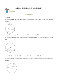 专题10 圆的基本性质（分层训练）-2024年中考数学总复习重难考点强化训练（全国通用）