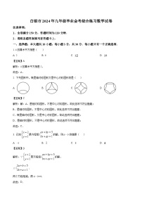甘肃省白银市2024届九年级下学期中考三模数学试卷(含解析)
