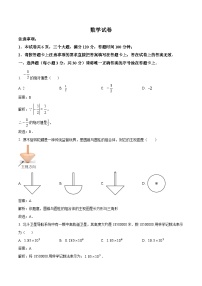 河南省南阳市邓州市2024届九年级下学期一模数学试卷(含解析)