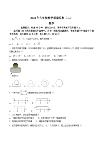 湖南省岳阳市平江县2024届九年级下学期中考二模数学试卷(含答案)