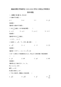 [数学][期末]湖南省郴州市桂阳县2023-2024学年八年级上学期期末模拟试题(解析版)