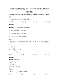 [数学][期末]辽宁省大连市普兰店区2023-2024学年七年级下学期期末试题(解析版)