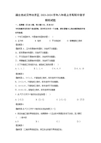 [数学][期中]湖北省武汉市经开区2023-2024学年八年级上学期期中模拟试题(解析版)