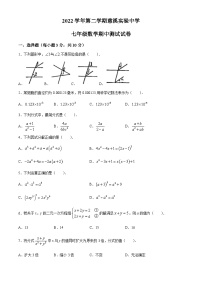 浙江省宁波市慈溪市2022-2023学年七年级下学期期中数学试题