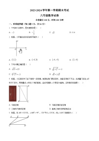 宁夏银川市灵武市2023-2024学年八年级上学期期末考试数学试题（原卷版+解析版）