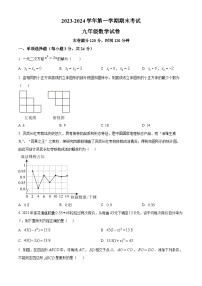 宁夏银川市灵武市2023-2024学年九年级上学期期末考试数学试题（原卷版+解析版）