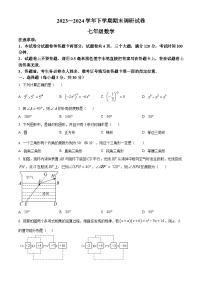 河南省平顶山市舞钢市2023-2024学年七年级下学期期末数学试题（原卷版+解析版）