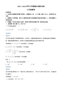 河南省平顶山市舞钢市2023-2024学年七年级下学期期末数学试题（解析版）