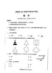 2024年青海省中考数学试题及答案解析