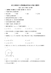 四川省泸州市合江县少岷初级中学2023-2024学年九年级下学期开学考试数学试题（原卷版+解析版）