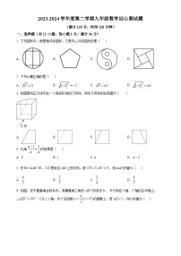 山东省日照市开发区献唐中学中学2023-2024学年九年级下学期开学考试数学试题（原卷版+解析版）