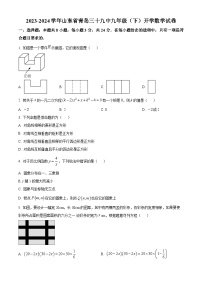 山东省青岛第三十九中学2023-2024学年九年级下学期开学数学试题（原卷版+解析版）