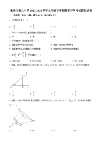 重庆市沙坪坝区第八中学2023-2024学年九年级下学期数学开学考试模拟试题（原卷版+解析版）