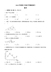 河南省南阳市南召县2023-2024学年八年级下学期开学数学试题（原卷版+解析版）