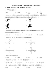 新疆乌鲁木齐市多校联考2023-2024学年九年级下学期开学考试数学试题（原卷版+解析版）