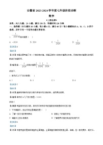 安徽省2023-2024学年七年级上学期期末数学试题（解析版）