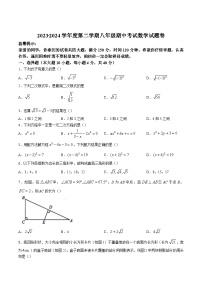 安徽省合肥市部分学校2023-2024学年八年级下学期期中考试数学试卷(含答案)