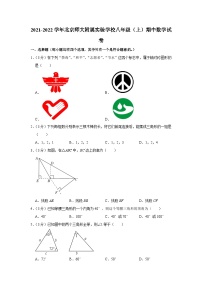 2021-2022学年北京师大附属实验学校八年级（上）期中数学试卷【含解析】