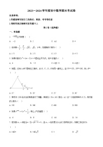 四川省乐山市第五中学2023-2024学年八年级下学期开学数学试题（原卷版+解析版）