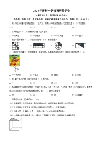 江苏省徐州市2024-2025学年七年级上学期新生入学数学测试题（原卷版+解析版）