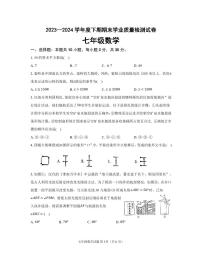 河南省信阳市新县2023-2024学年七年级下学期期末学业质量检测数学试题