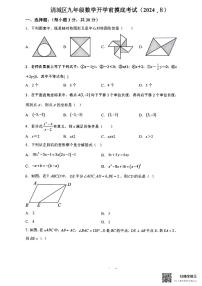 广东省清远市清城区2024--2025学年上学期九年级开学摸底考数学试卷