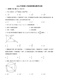 河南省南阳市镇平县2023-2024学年下学期九年级开学摸底考试数学试题（原卷版+解析版）